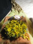 lyrical offering~ what is my contribution?